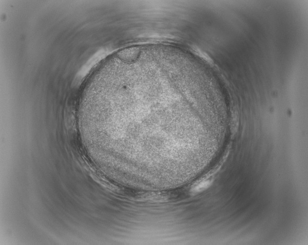 X0000052601259200507221625