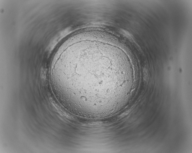 X0000052601260200507221625