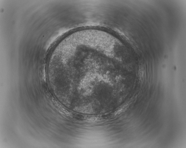 X0000052601262200507221625