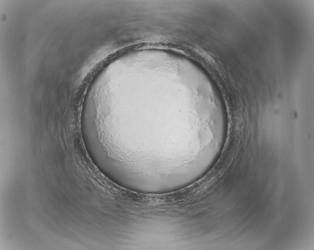 X0000052601263200507221625