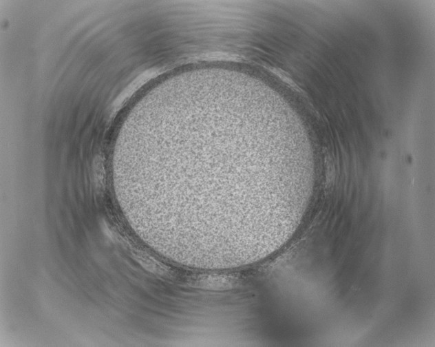 X0000052601266200507221625