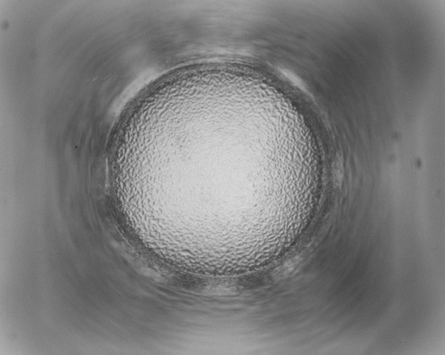 X0000052601267200507221625