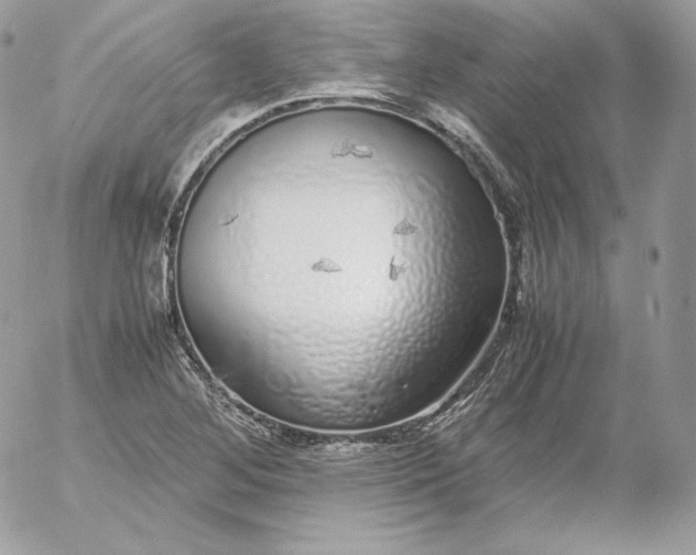 X0000052601268200507221625