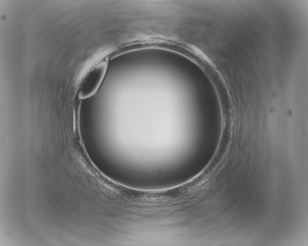 X0000052601269200507221625