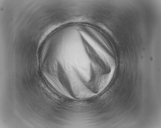 X0000052601270200507221625