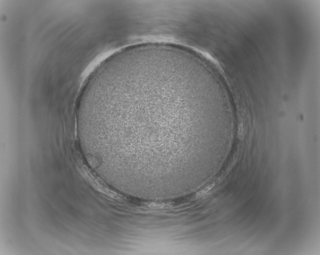 X0000052601271200507221625