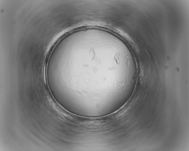 X0000052601272200507221625