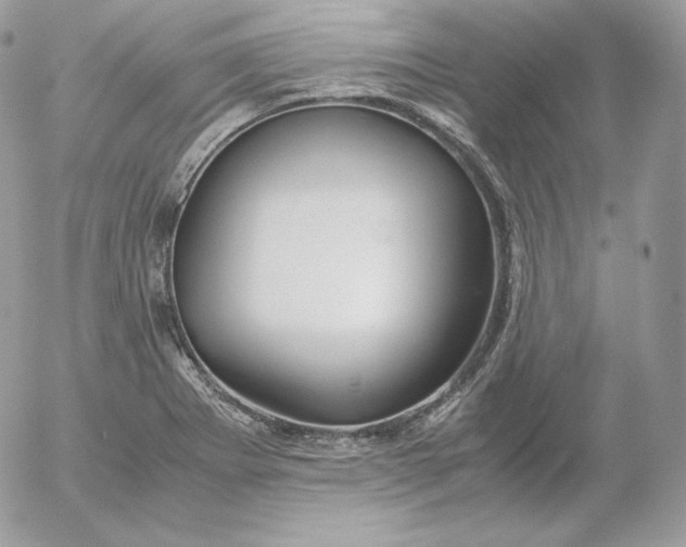 X0000052601273200507221625