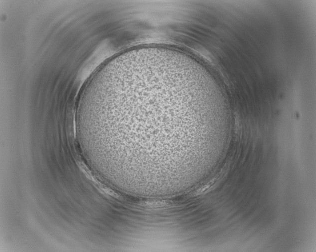 X0000052601274200507221625