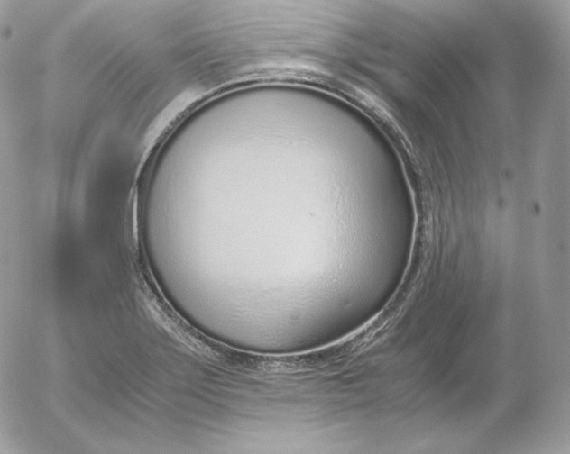 X0000052601275200507221625