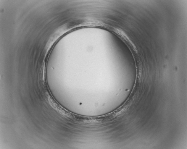 X0000052601276200507221625