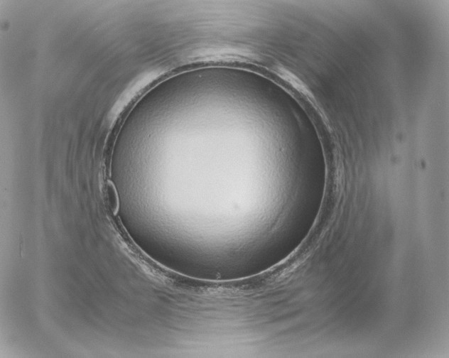 X0000052601277200507221625