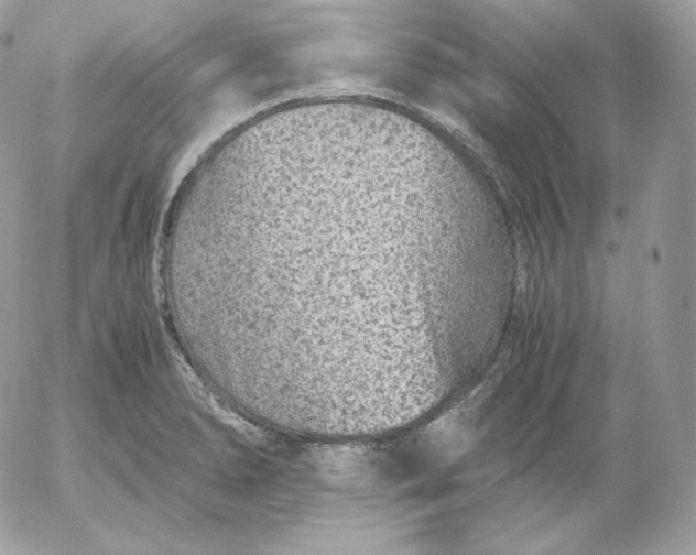 X0000052601278200507221624