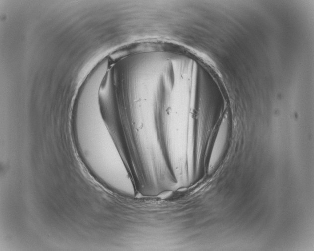 X0000052601279200507221624