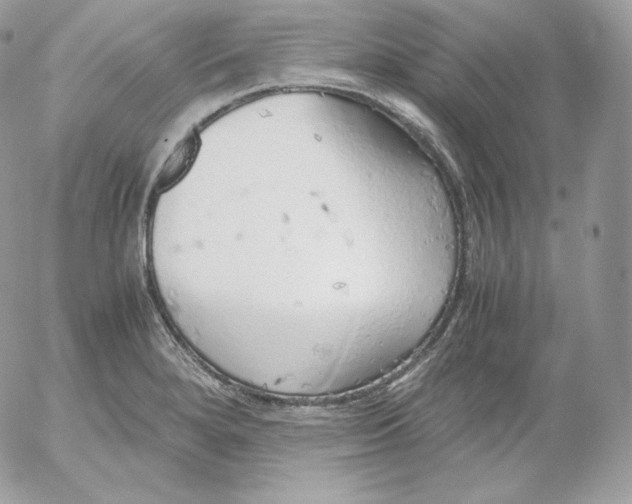 X0000052601280200507221624