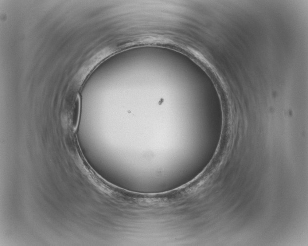 X0000052601281200507221624