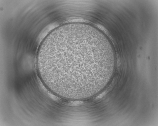 X0000052601282200507221624