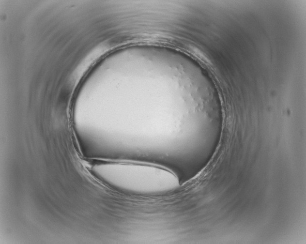 X0000052601283200507221624