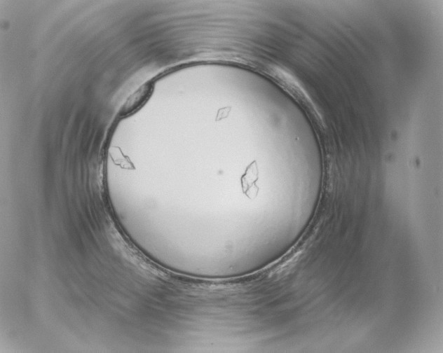 X0000052601284200507221624