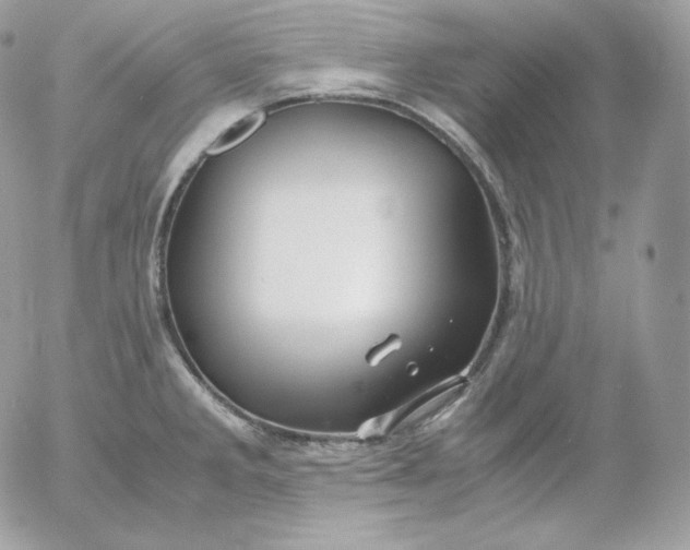 X0000052601285200507221624