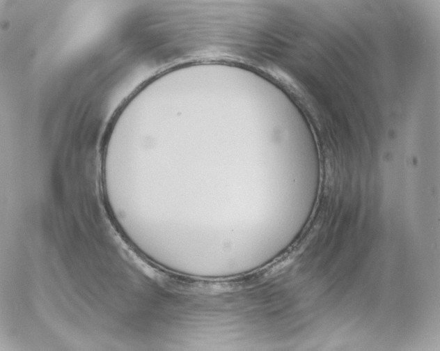 X0000052601286200507221624