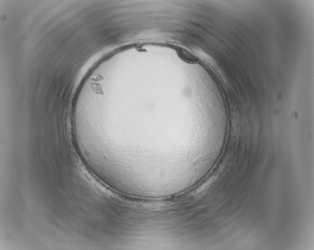 X0000052601288200507221624