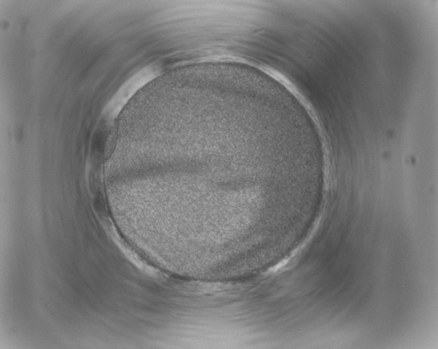 X0000052601289200507221624