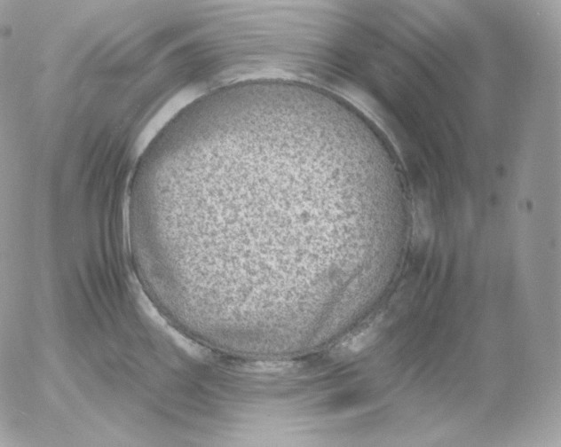 X0000052601290200507221624