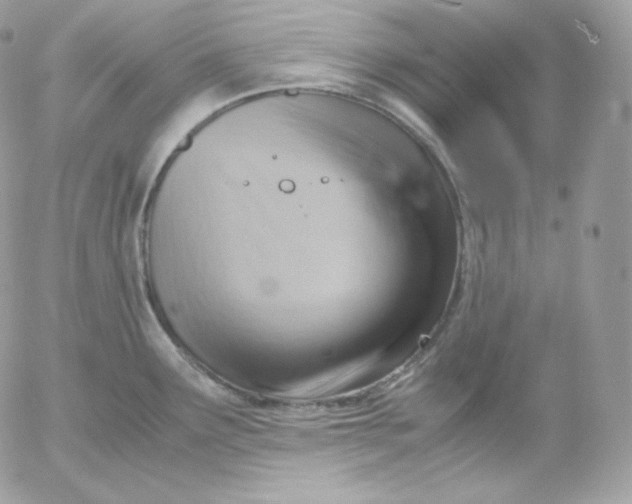 X0000052601291200507221624