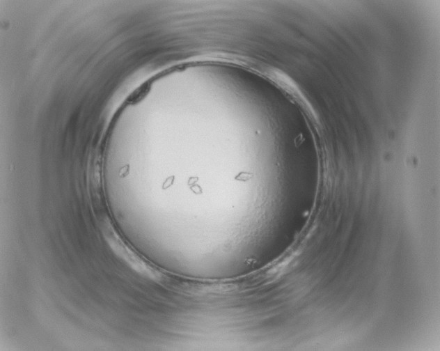 X0000052601292200507221624