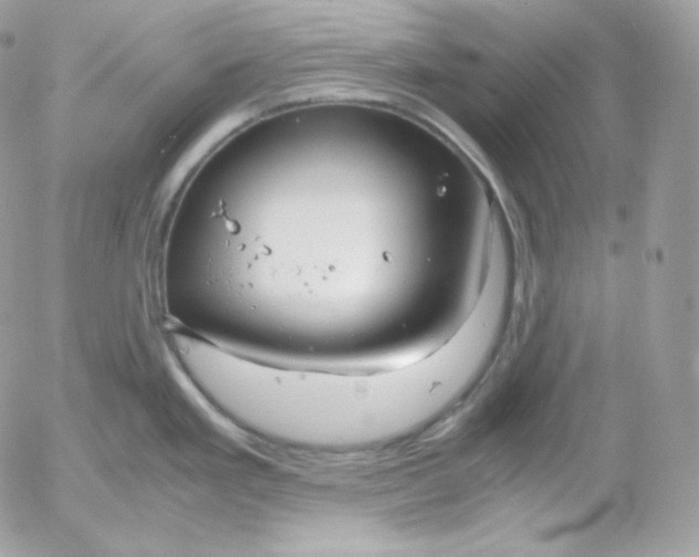 X0000052601293200507221624