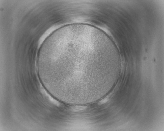 X0000052601294200507221624