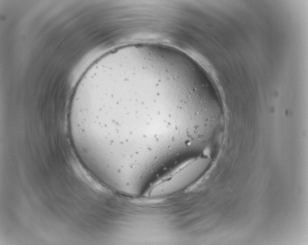 X0000052601296200507221624