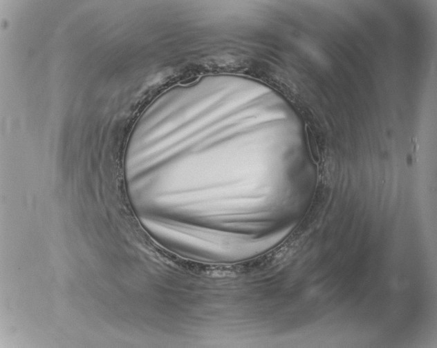 X0000052601297200507221623