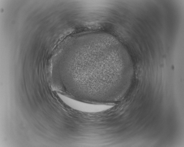 X0000052601298200507221623