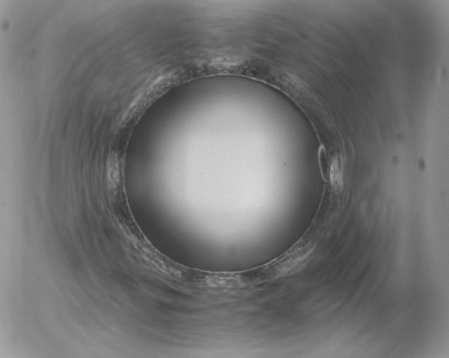 X0000052601299200507221623