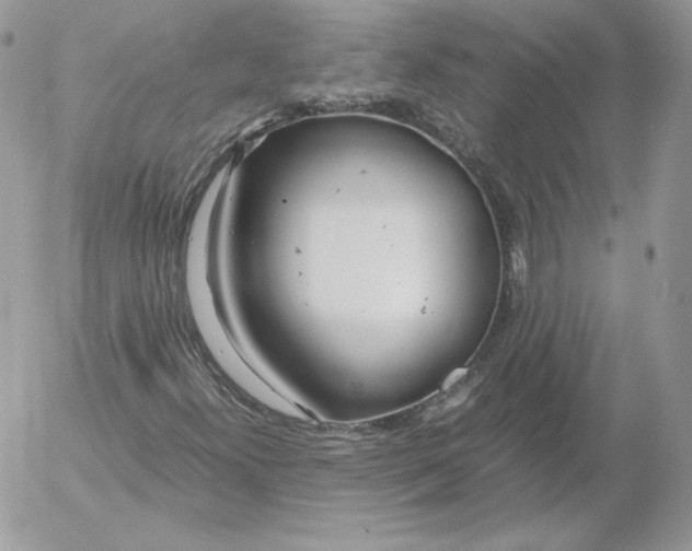 X0000052601300200507221623