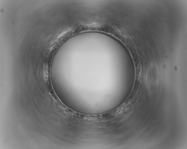 X0000052601301200507221623