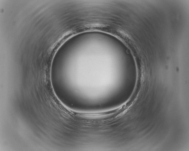 X0000052601305200507221624