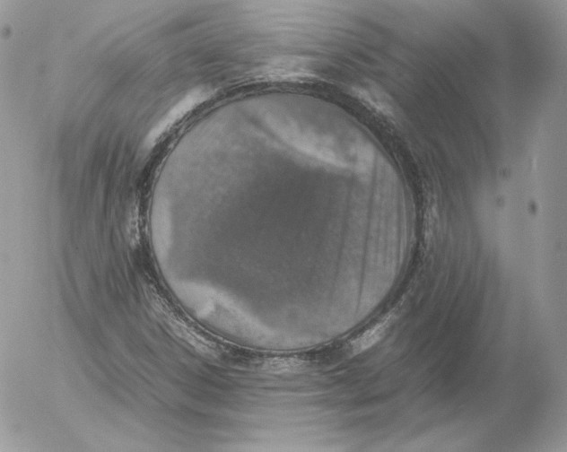 X0000052601306200507221624