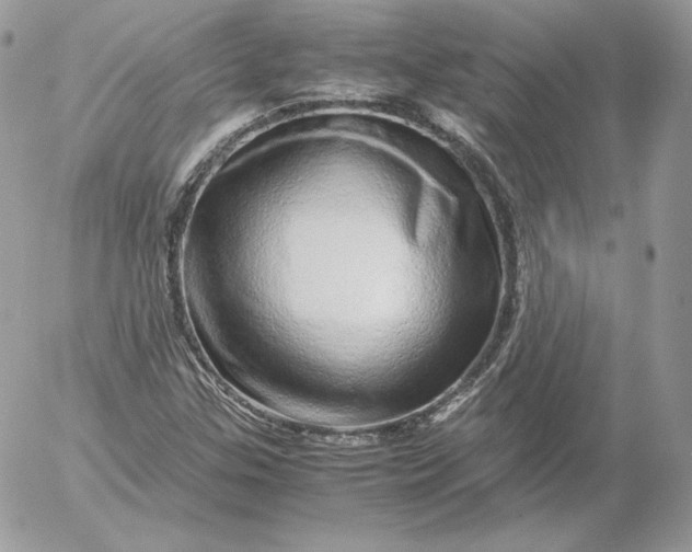 X0000052601307200507221624