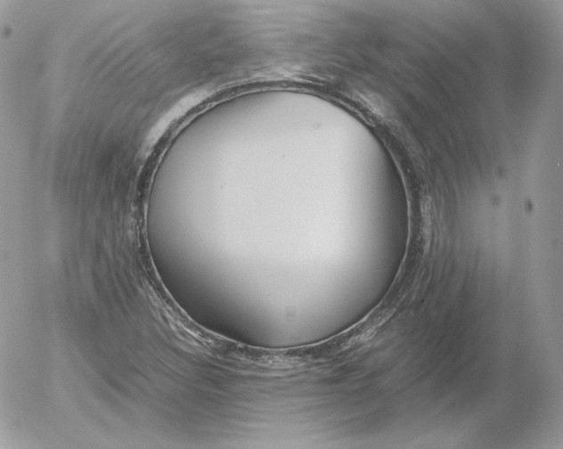 X0000052601308200507221624