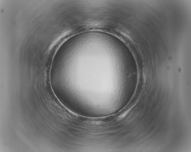 X0000052601309200507221624