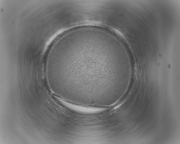 X0000052601310200507221624