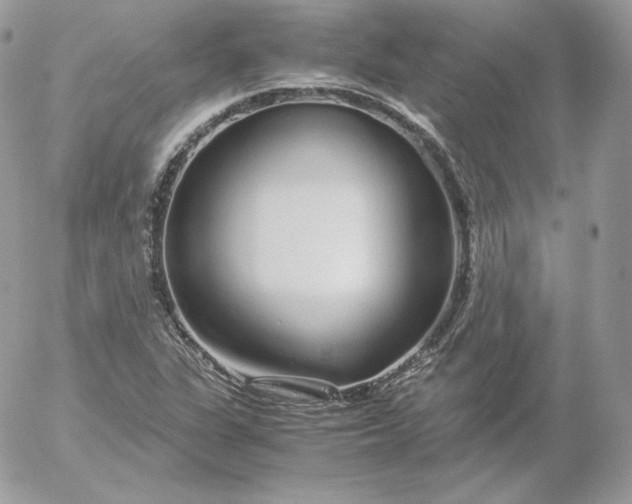 X0000052601311200507221624