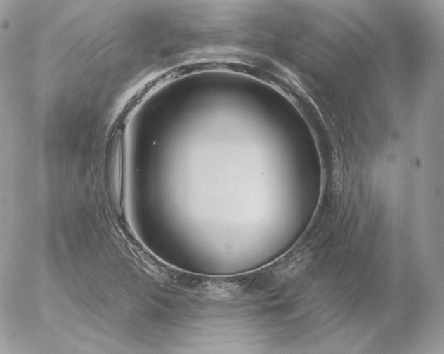 X0000052601312200507221624