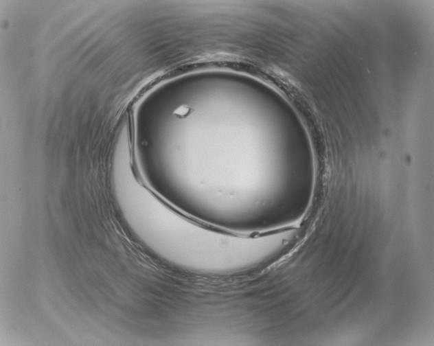 X0000052601313200507221624