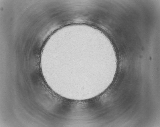 X0000052601314200507221624