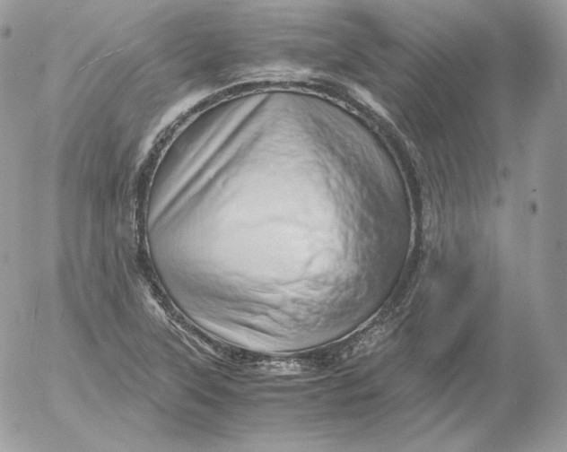 X0000052601315200507221624