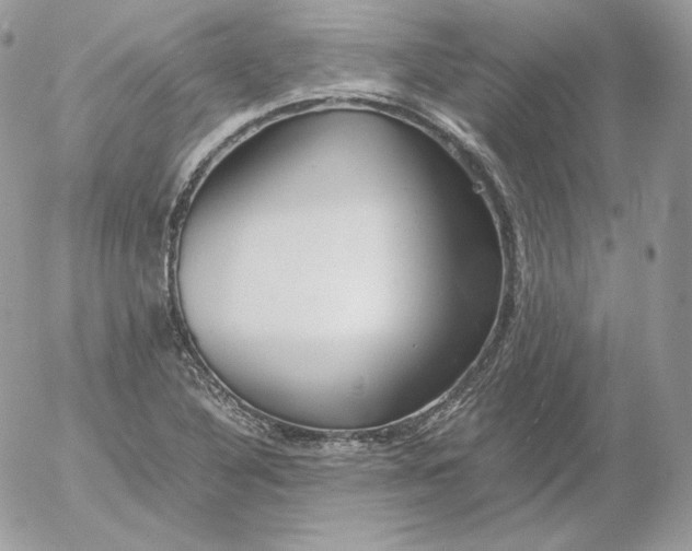 X0000052601316200507221624